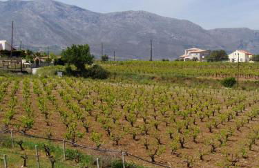 Christina Villas- Minoan inland - Foto 86