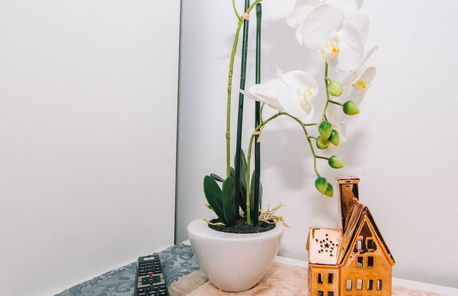 Wellness Paradise Apartment - Foto 9