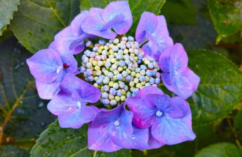 Elementi TERRA - Photo 14