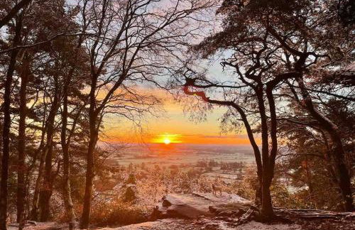Cheshire Country Cottage, Bulkeley - Foto 26