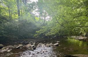 Charming 2 bedroom cottage in Brecon - families and pets welcome! - Foto 20