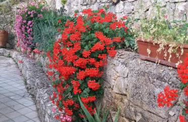 La casa di Antonella - Foto 10