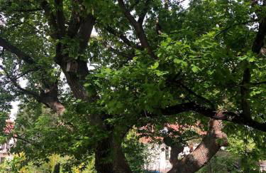 Spacieux appartement au bord de l'Oise - Foto 37