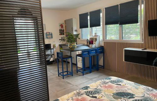 Papero rosso - Foto 13