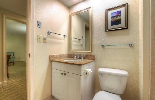 Luxury 1 Bedroom Condo in Palm Harbor Florida 2 Miles From Beach by David Rigney Real Estate Solutions - Foto 11