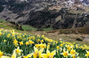 Bel appartement T2 refait à neuf avec piscine couverte de juin à fin septembre, près des stations de ski avec navette et draps et serviettes compris - Foto 44