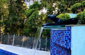 Praia com paz e seguranca - Foto 60