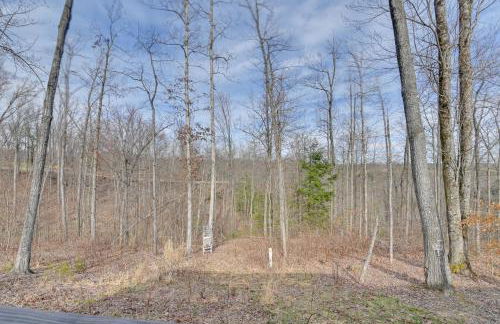 Bring a Pet Peaceful Frenchburg Cabin on 1 Acre - Foto 23