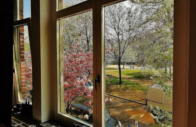 Train Flat - Photo 24