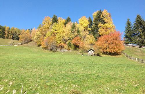 Berggasthaus Agritur Moserhof - Photo 38