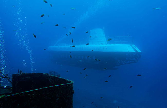Paseo en submarino por Cozumel - Foto 10