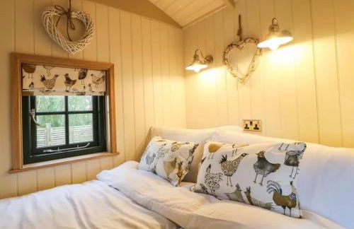 Shepherd's Hut- Hot Tub- Wellness Spa- Wood Burner - Foto 18