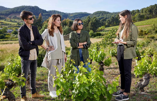 Visita a Viñedos y Bodegas Pittacum - Foto 3