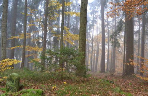 Blockhaus Hedwig - Photo 57