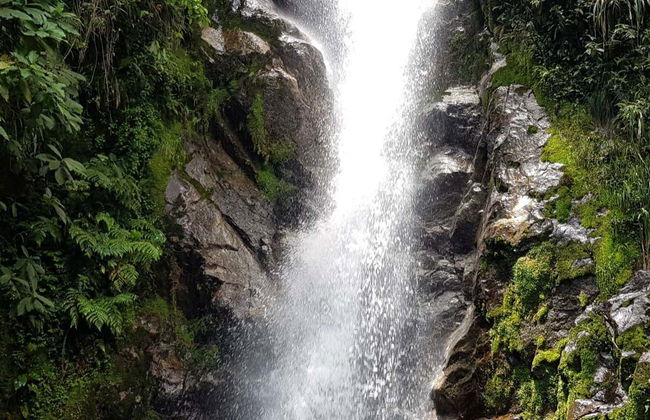 Chorro de las Campanas Waterfall Trip - Photo 8