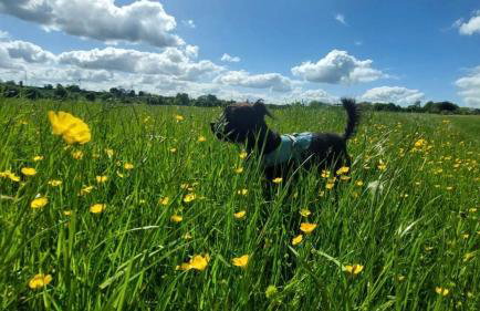 Culls Cottage, - Foto 70