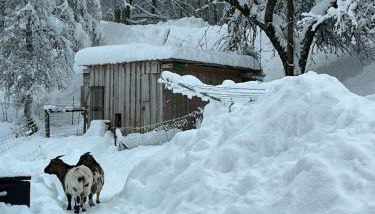 Appartement dans maison familiale - Foto 4