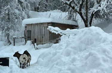 Appartement dans maison familiale - Foto 4