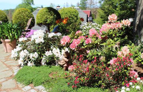 Appartement`s - HAUS KAROLA - Photo 23