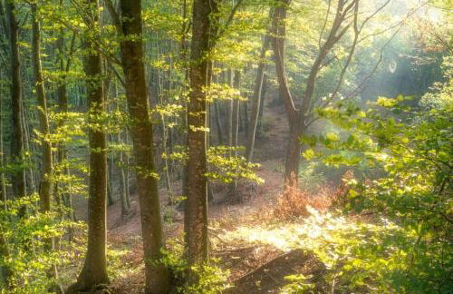 La Casina Rossa - Foto 10