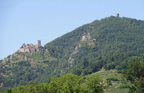 Klipfel Little Venice - Foto 36