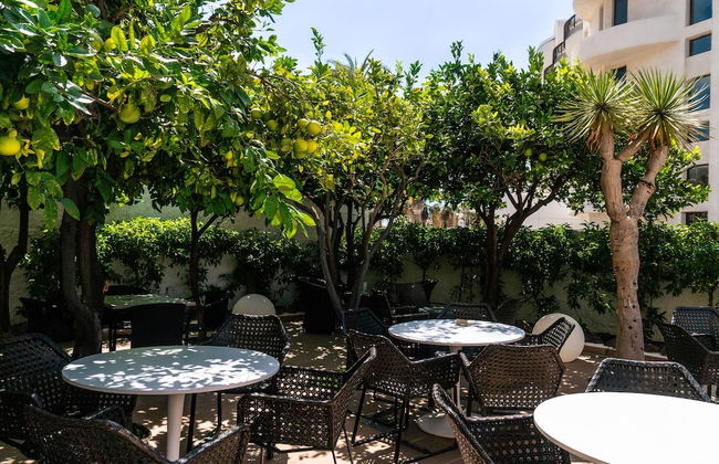 Coral California - Photo 72