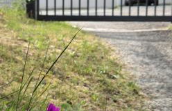 Aux Pierres Dorées 10 min centre de Lyon - Foto 13