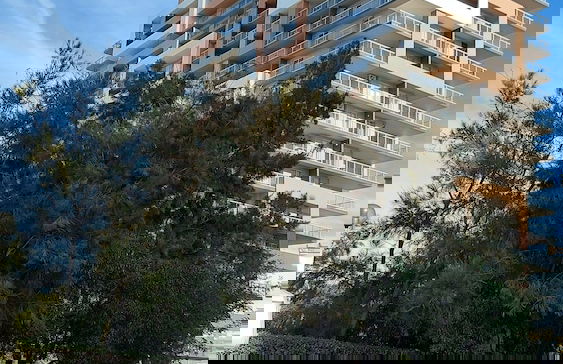 The Roof Elite - Foto 1