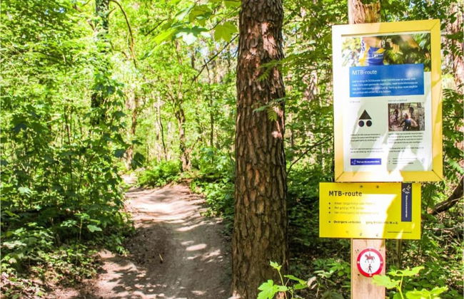 Apartment in Utrecht Near Historic Windmill - Photo 34