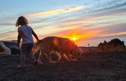 Casa Julián - Foto 7