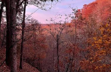 Secluded Riverfront Cabin with Bluff Views, Gated Privacy & Scenic Trail Access in Tahlequah, Oklahoma - Foto 73