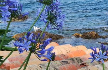 villa de la mer - Foto 20