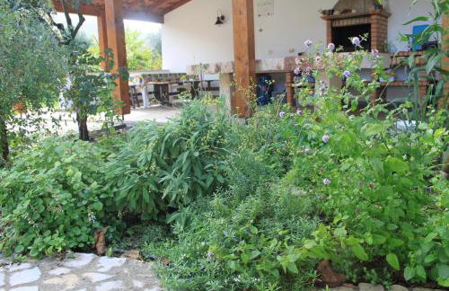 Quinta de São João - Foto 65