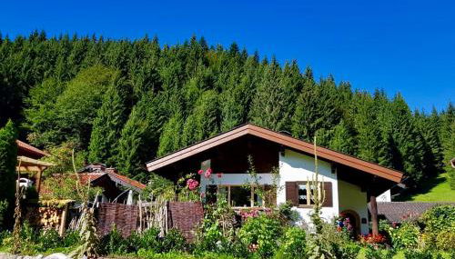 Ferienhaus Ursula - Photo 4, Garden