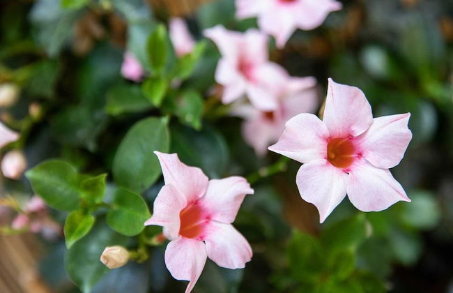 Affittacamere I Canneggiatori - Foto 33