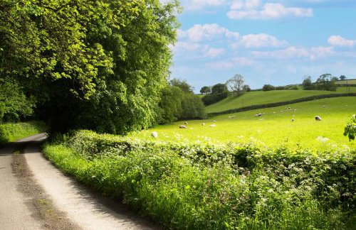 Blacksmiths Cottage - Photo 21