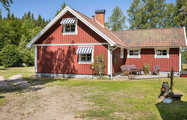 Vänneböke - Foto 23