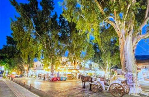 Arbutus - Relaxing apartment with Fantastic Views - Foto 47