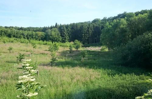 Chalet Forsthof Everstorf - Foto 51