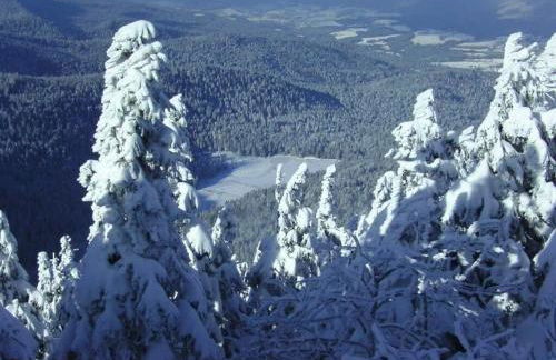 Ferienwohnung Osser Woid - Foto 28
