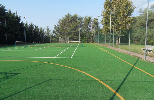 Fattoria La Steccaia - Foto 45