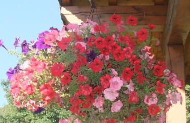 Gîte Les Grands Champs - Foto 46