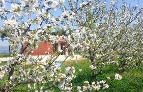 Exquisite Retreat in Segni - Foto 45