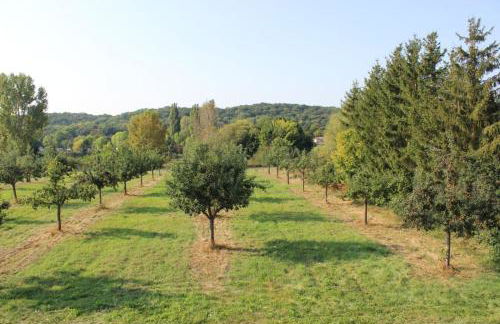 Ferienwohnung Schwalbennest - Foto 48