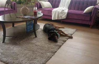 Stay Like A Boss- Penthouse-Views- Convention Center- Free Parking - Foto 51