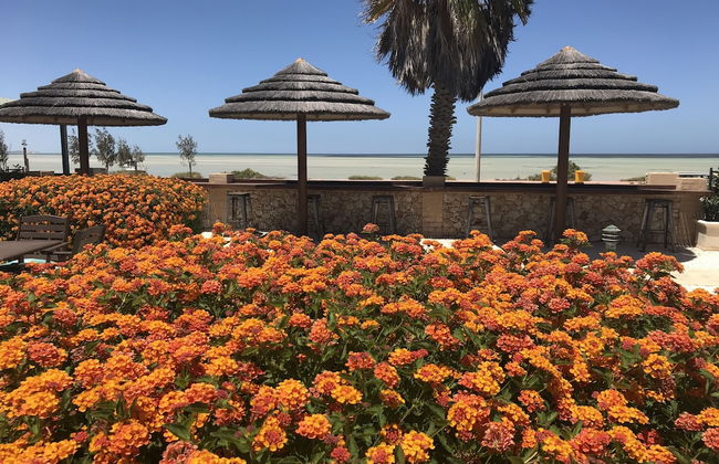 Shark Bay Seafront Apartments - Photo 58