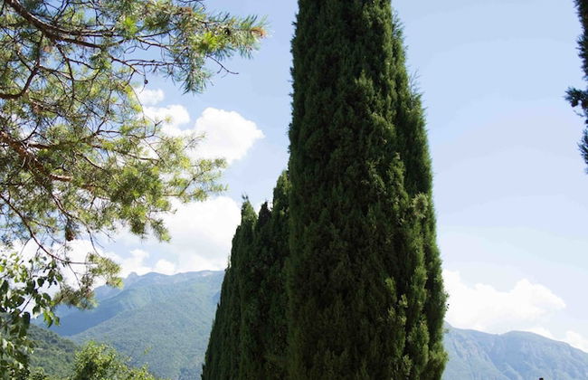 Agritur Casteller - Foto 42