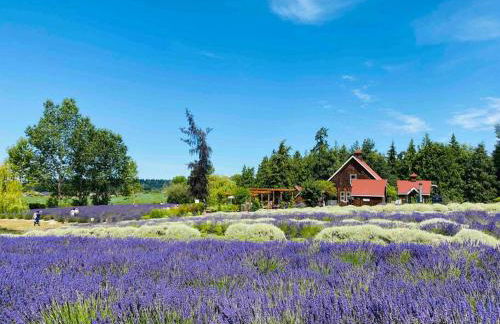 Shiny Rambler House with Spacious Solarium. - Foto 80