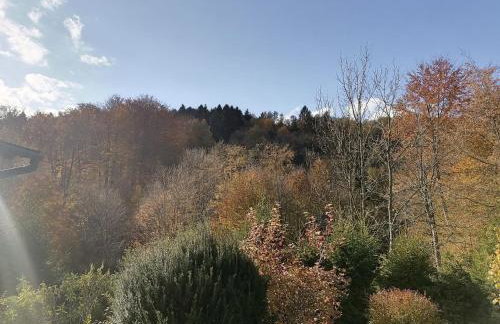 Parisowka w Wielkim Lesie - Foto 18