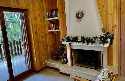 NadSan Mountain House - Photo 14